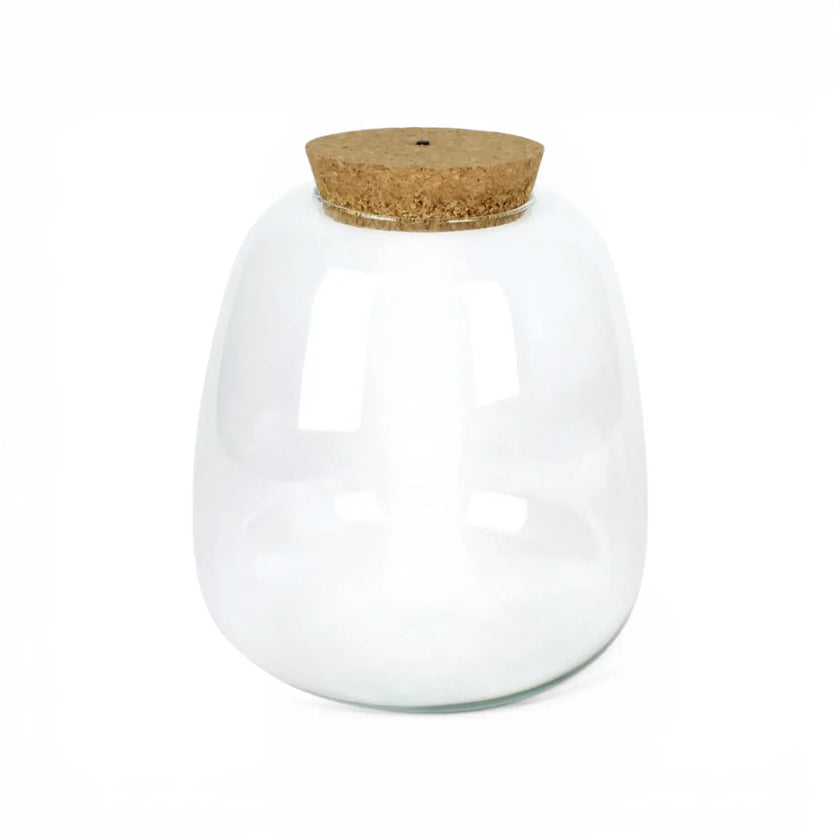 Clear glass jar Plant Puzzle with a cork lid on a white background