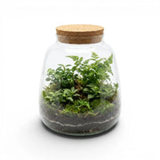 Glasgefäß Plant Puzzle mit Korkdeckel und kleinem Terrarium auf weißem Hintergrund