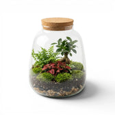 Terrarium Plant Puzzle mit Pflanzen und Korkdeckel auf weißem Hintergrund