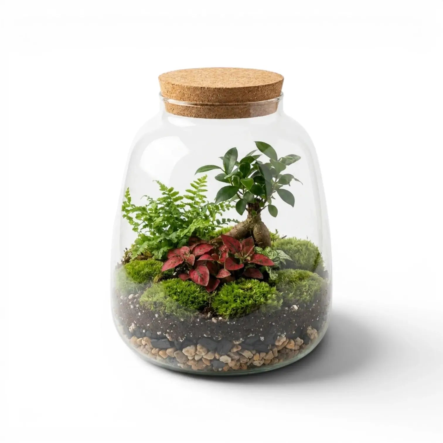 Terrarium Plant Puzzle mit Pflanzen und Korkdeckel auf weißem Hintergrund