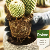 Pokon Cactus Potting Soil on white background.