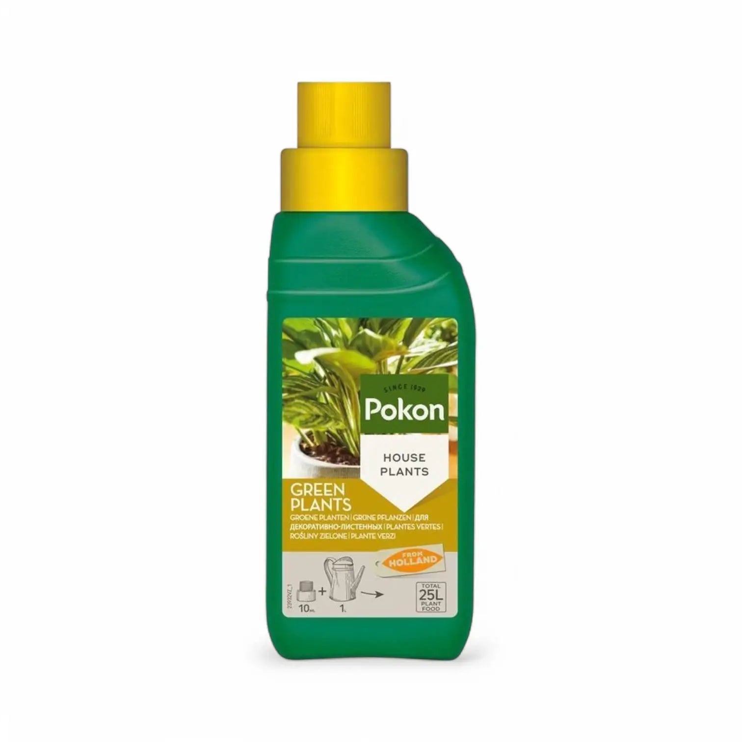 Pokon Green Plants Food main product photo on white background.