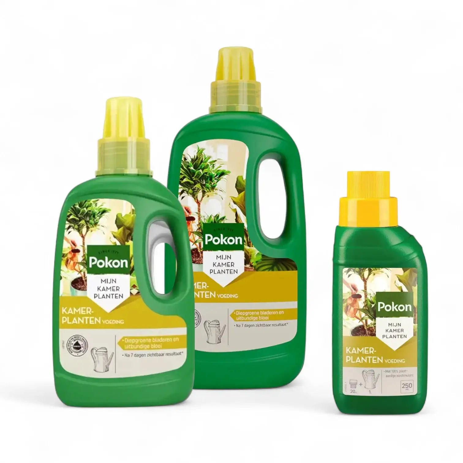 Pokon Zimmerpflanzendünger – Hauptproduktfoto vor weißem Hintergrund.