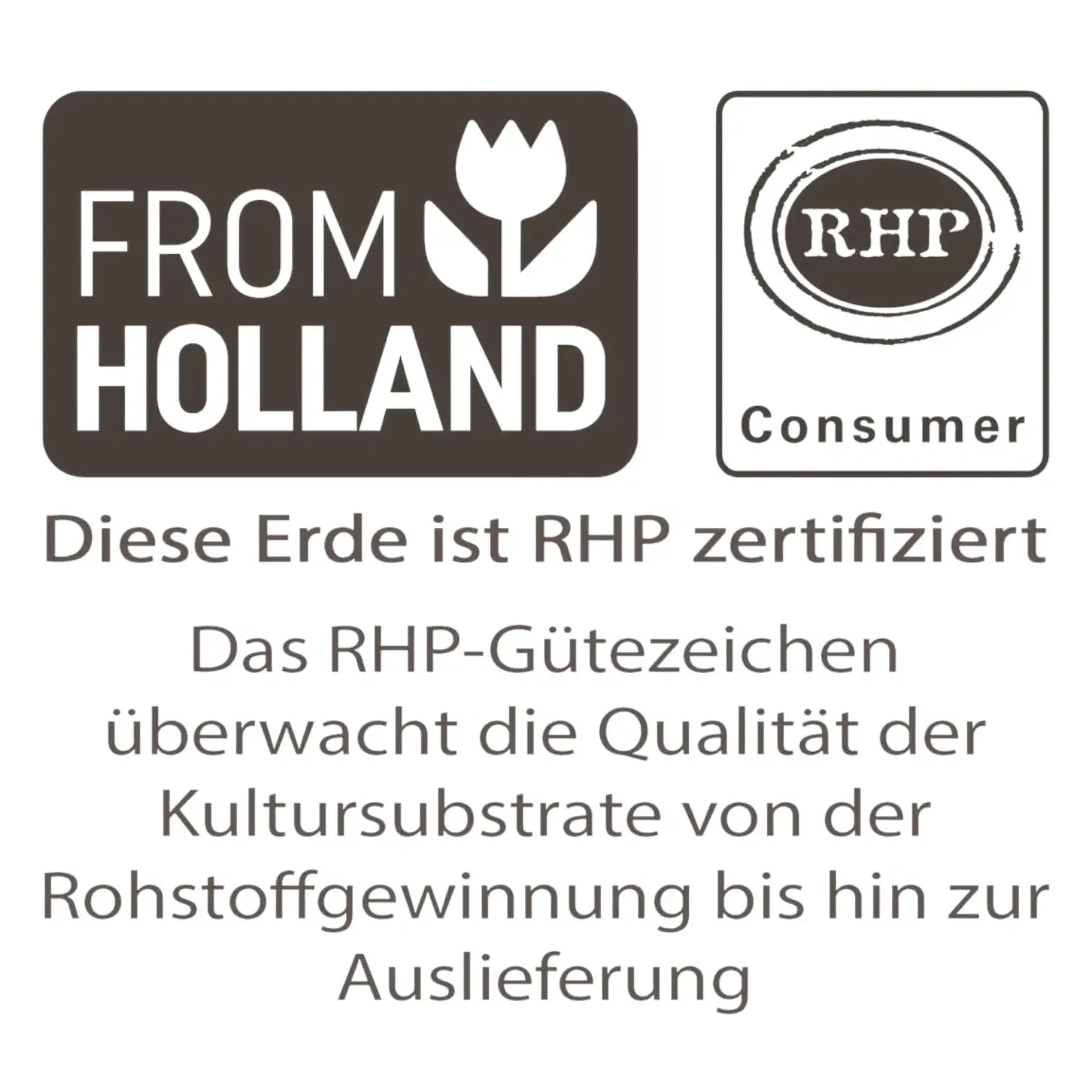 Pokon Palmenerde vor weißem Hintergrund, Produktfoto 4.