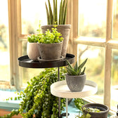svartpeppar plant pot holder Elho Pot Holder with Clamp – clamp-on plant shelf