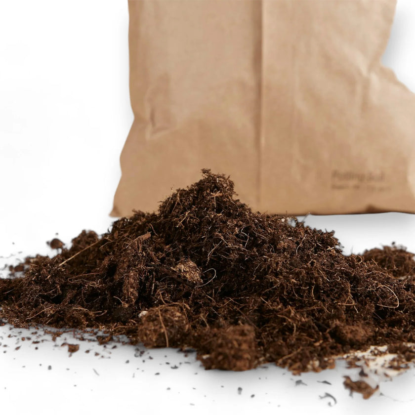 Substratmischung – Hauptproduktfoto vor weißem Hintergrund.