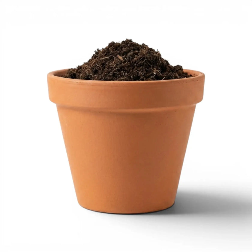 Terracotta pot with soil on a white background