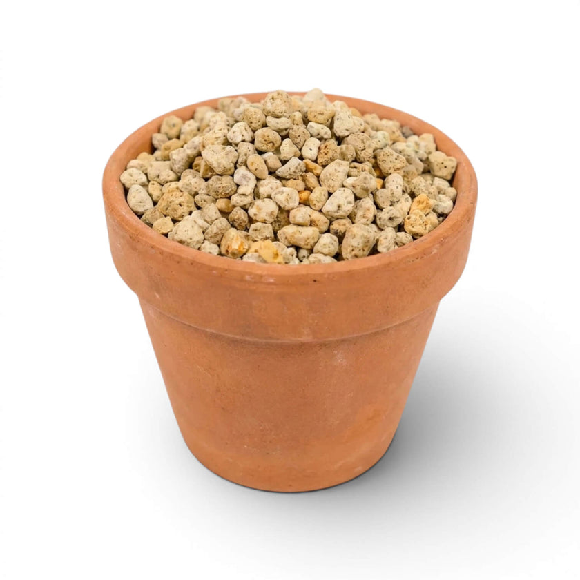 Terracotta pot filled with small pumice stones on a white background