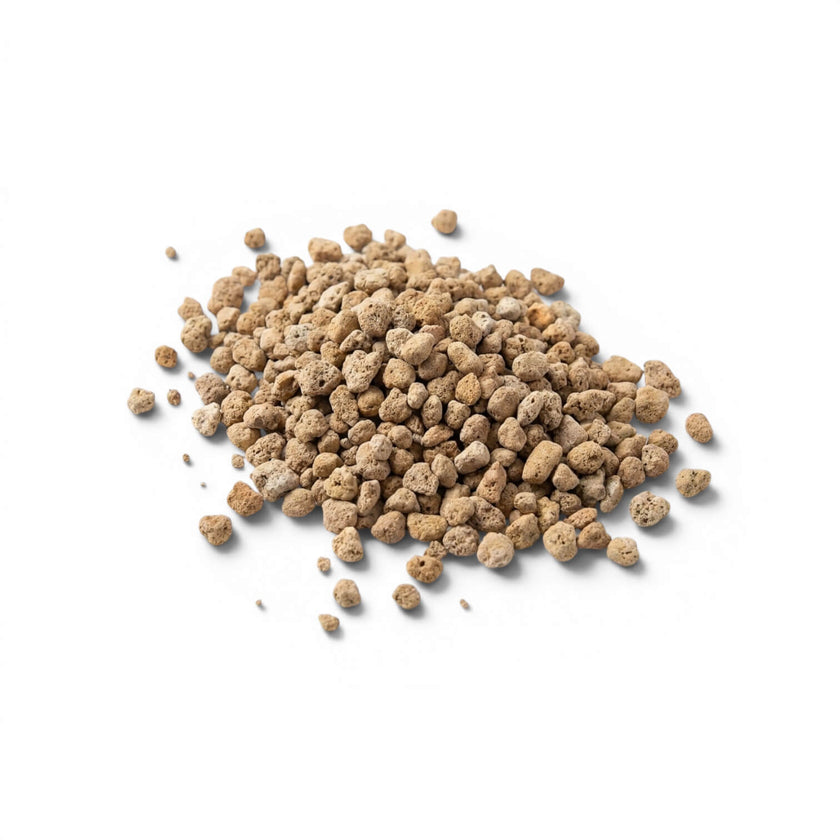 Heap of pumice stones on a white background