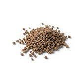 Pumice heap on a white background