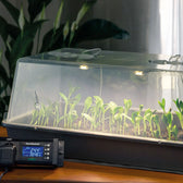 Romberg Greenhouse Maximus Complete LED on white background.