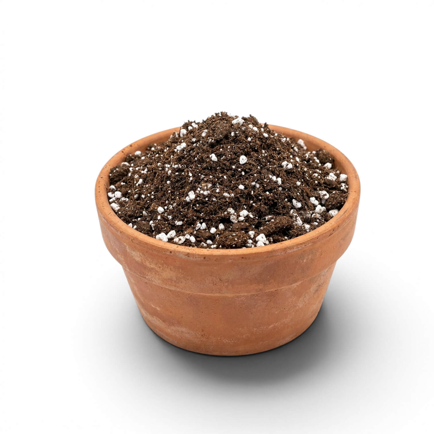 Terracotta pot with seedling potting mix on a white background