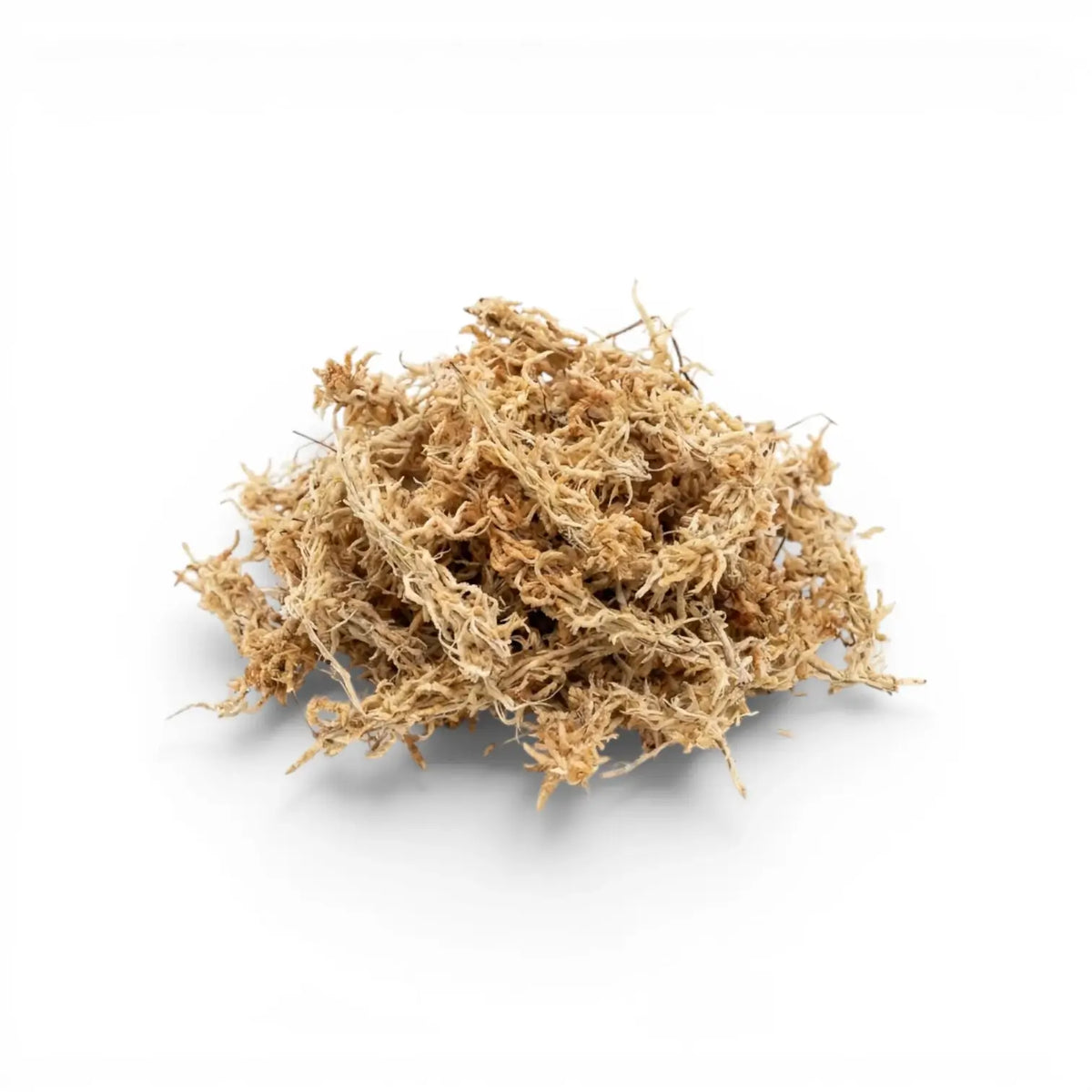 Heap of dried sphagnum moss on a white background
