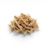 Heap of dried sphagnum moss on a white background