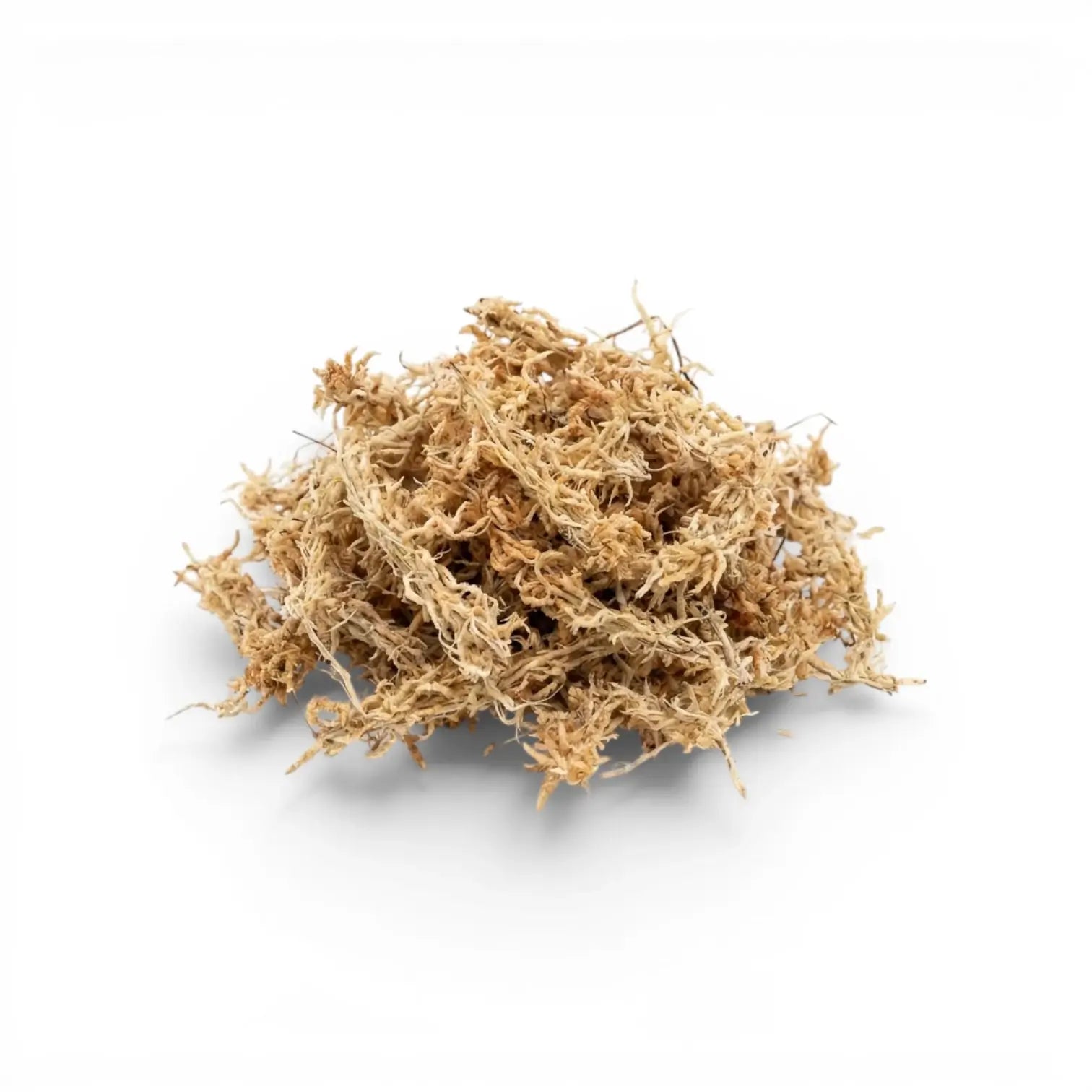 Heap of dried sphagnum moss on a white background