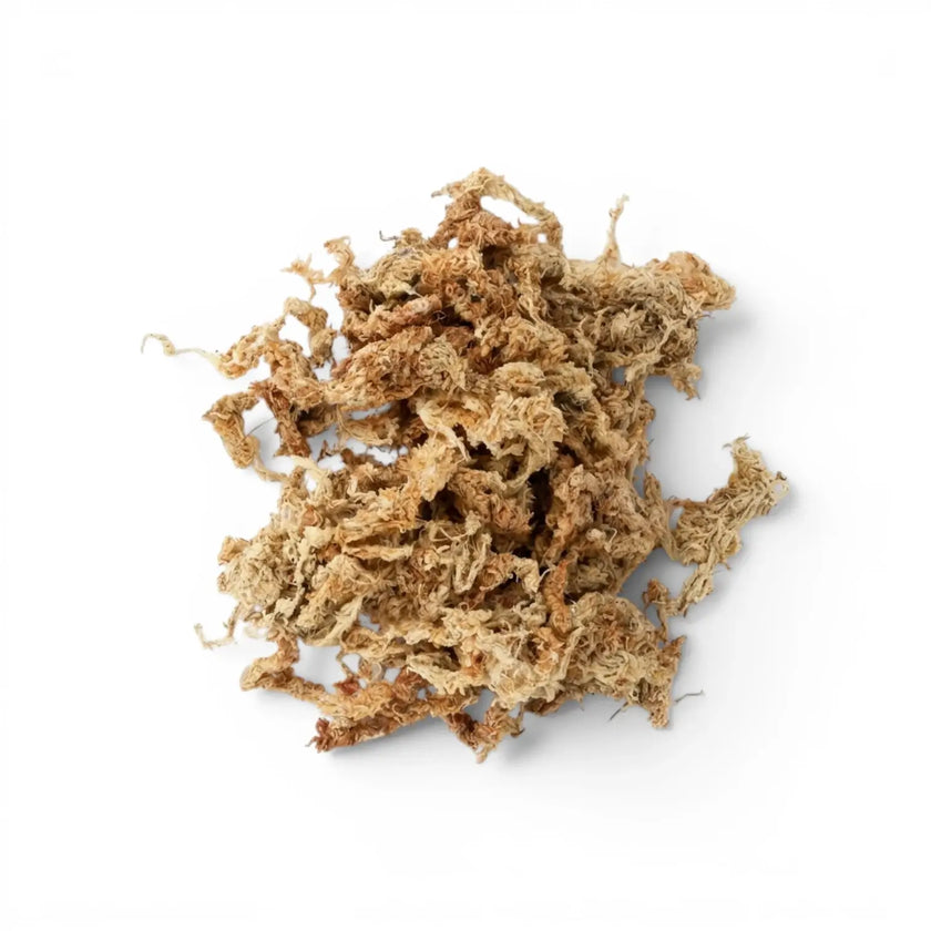 Heap of sphagnum moss on a white background