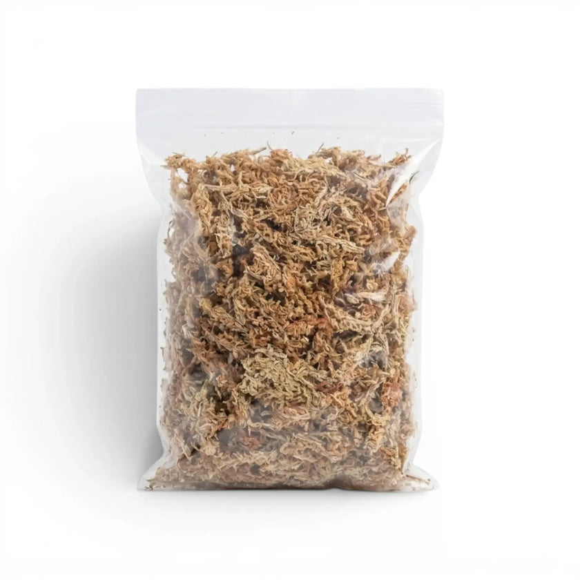 Clear plastic bag filled with sphagnum moss on a white background