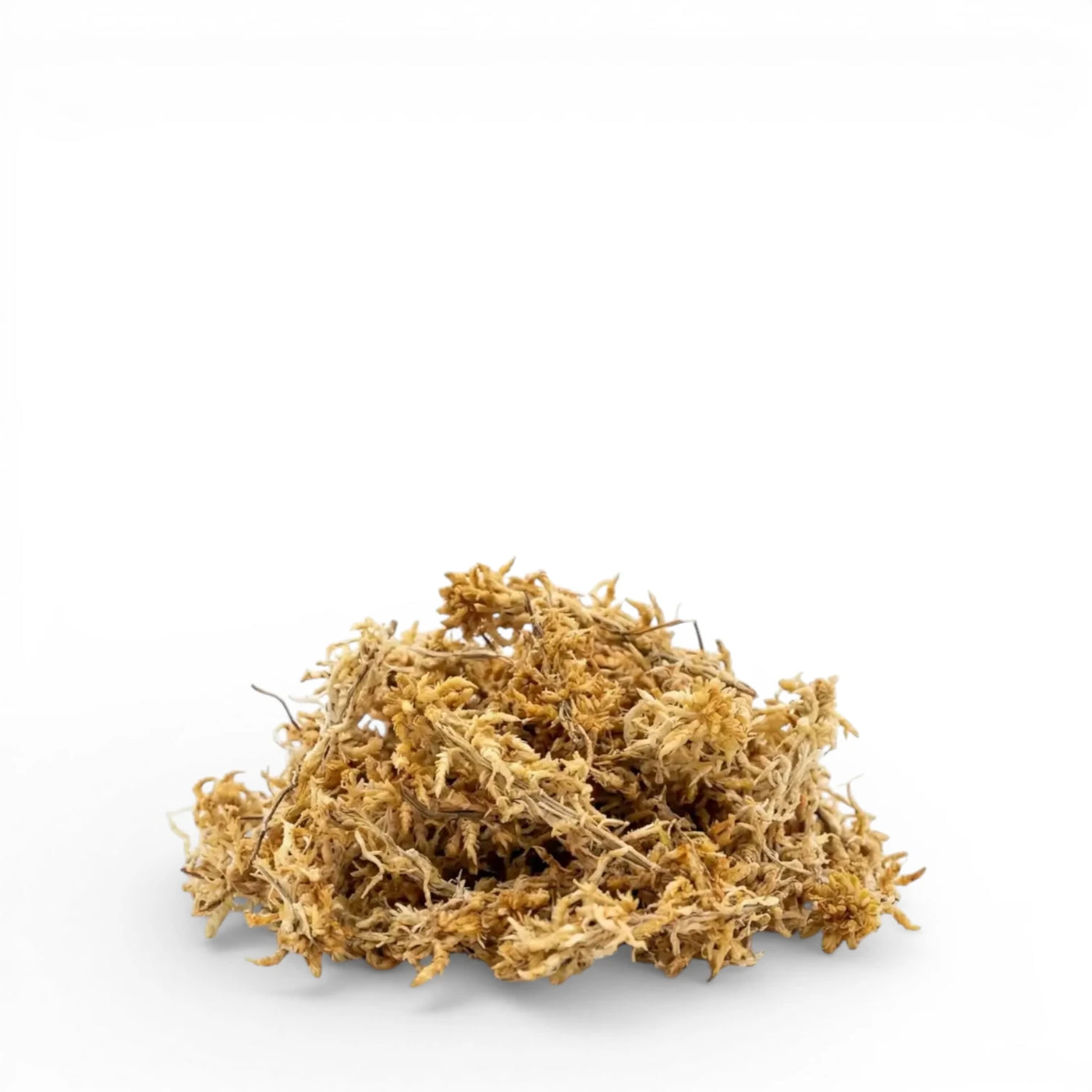 Sphagnum-Moos für Terrarien, Moosstäbe und das Bewurzeln von Nodien