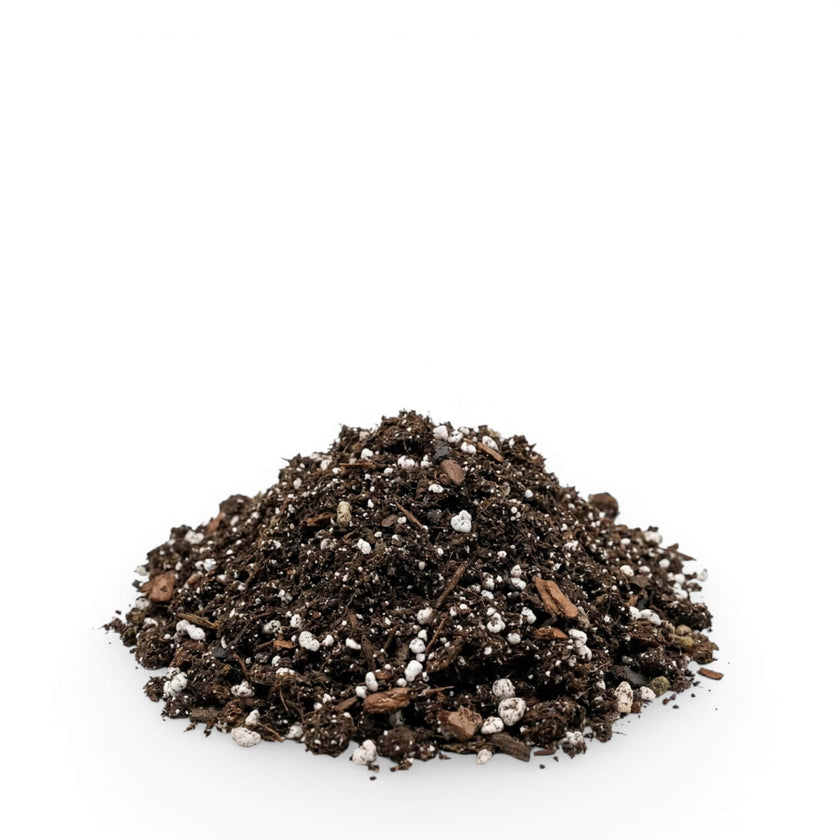 Heap of Syngonium potting mix on a white background