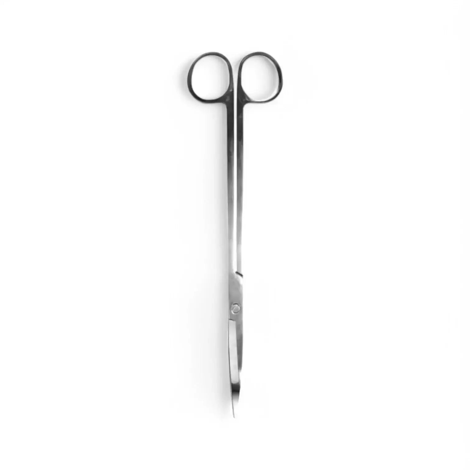Terrarium scissors Hauptproduktfoto vor weißem Hintergrund.