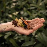 Terrarium-Substratmischung auf weißem Hintergrund, Produktfoto 2.