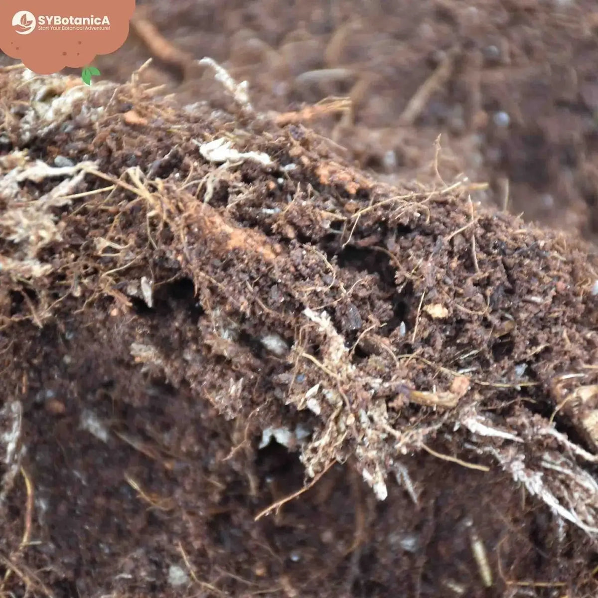 Terrarium-Substratmischung auf weißem Hintergrund, Produktfoto 5.