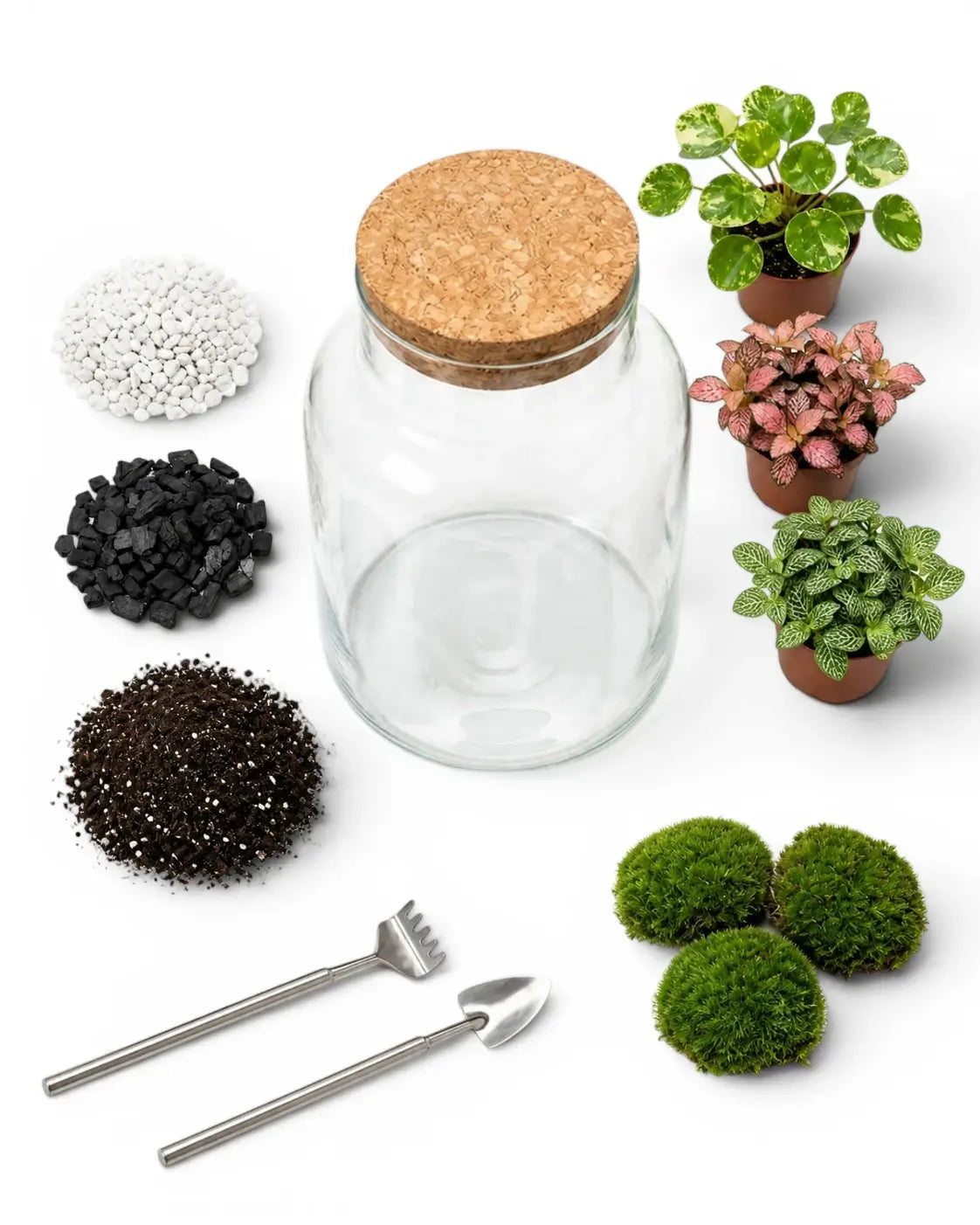 Set of items for terrarium building including a glass jar with a cork lid, small plants, soil, and tools on a white background.