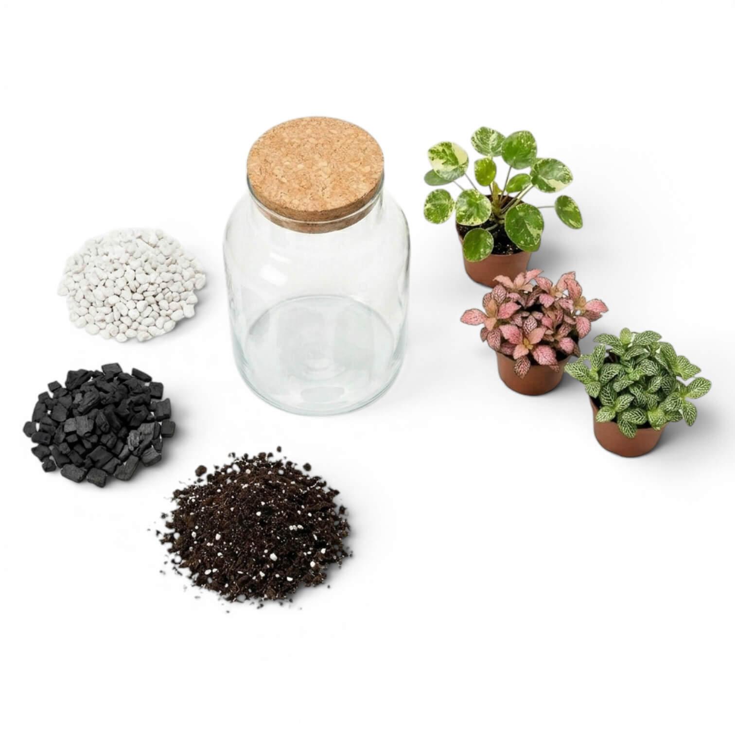 Clear glass jar with cork lid surrounded by small piles of substrates, gravel, activated carbon and soil and three small plants on a white background