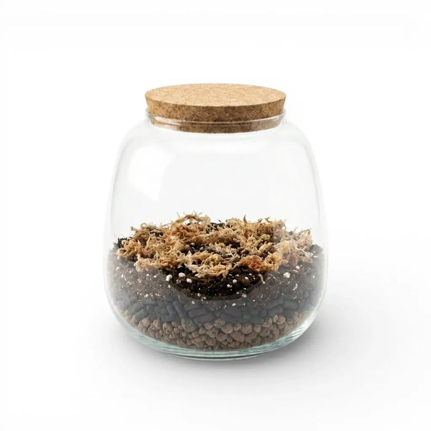 Glass jar with cork lid containing terrarium substrate mix on a white background