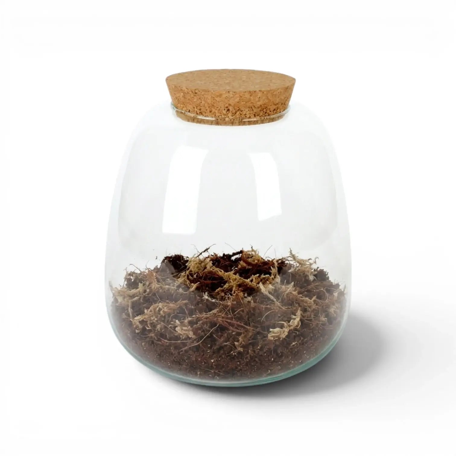 Clear glass jar with cork lid containing terrarium potting mixon a white background