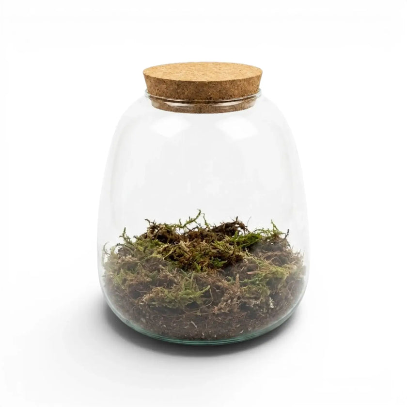 Glass jar with cork lid containing terrarium potting mix on a white background