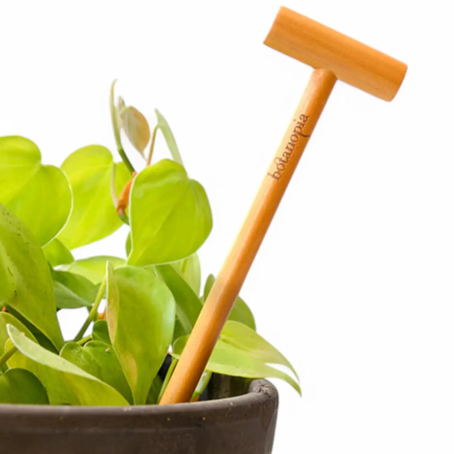 The Soil Checker on white background.