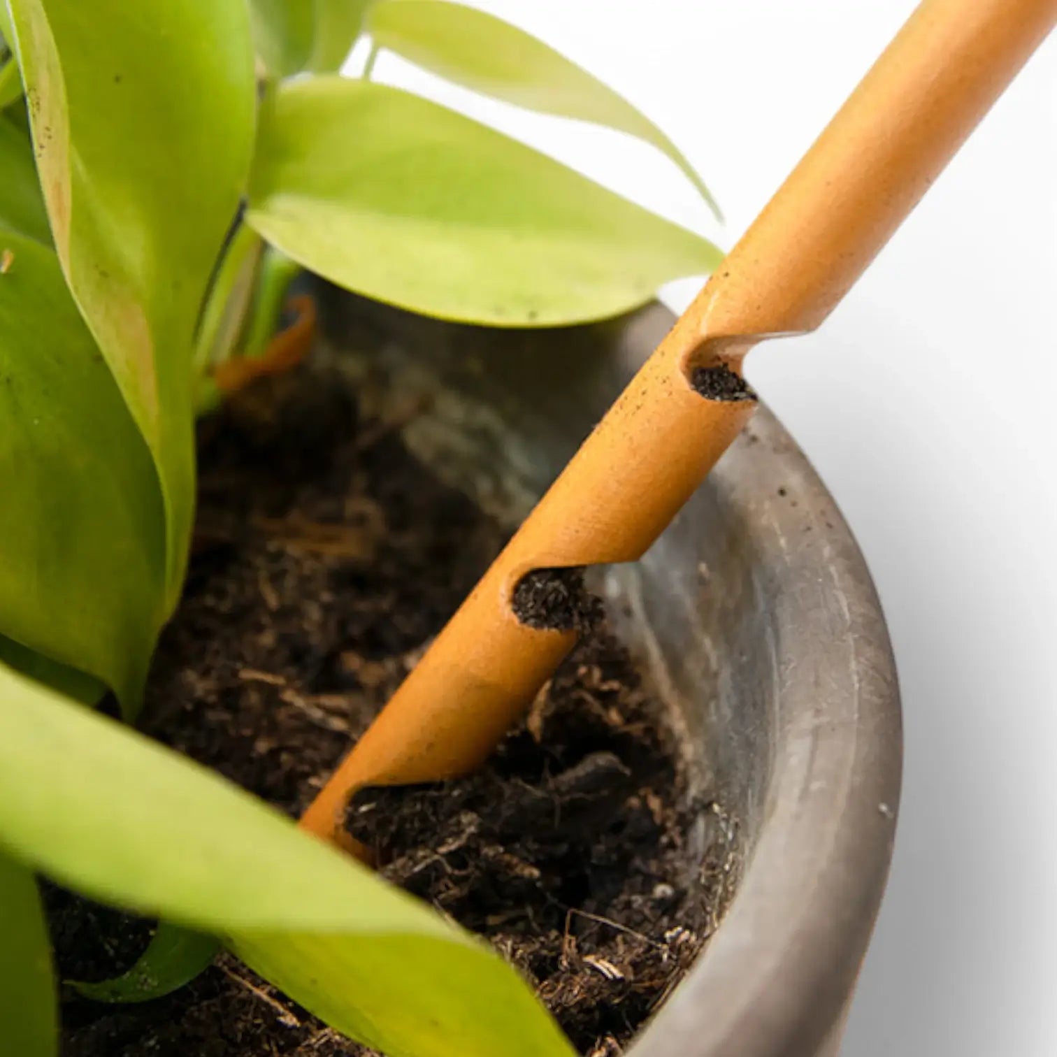 The Soil Checker on white background.