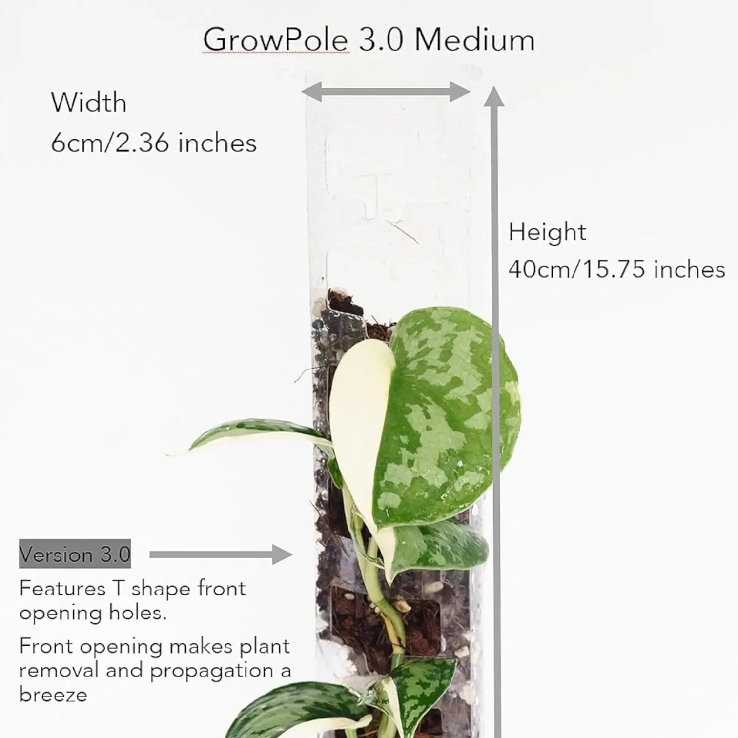 THICCLY® GrowPole™ - The Ultimate Plant Support on white background.