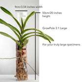THICCLY® GrowPole™ - The Ultimate Plant Support on white background.
