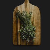 Thymus vulgaris – im Garten.