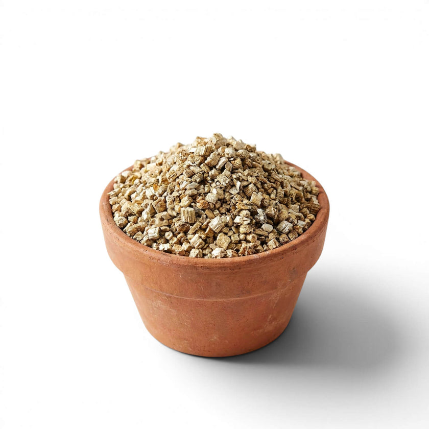 Terracotta pot filled with vermiculite on a white background