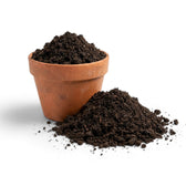 worm castings for succulents Worm Castings – Gentle Organic Amendment for Potting Mixes