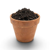 Terracotta pot filled with worm castings on a white background