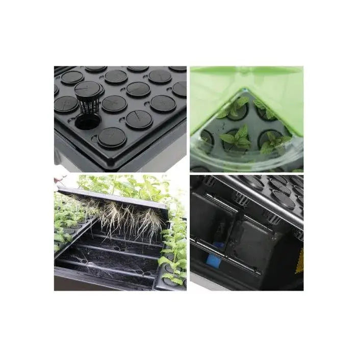 X-Stream Aeroponic Anzuchtkasten | Nutriculture vor weißem Hintergrund, Produktfoto 6.