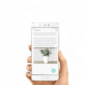 Xiaomi Mi Plant Sensor on white background.